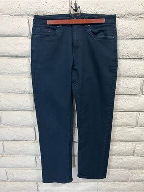 Jachs New York Navy Straight Leg Pants Mens 32x29